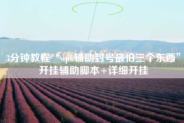 3分钟教程“wpk辅助封号最怕三个东西”开挂辅助脚本+详细开挂