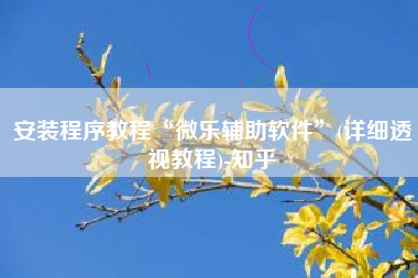 安装程序教程“微乐辅助软件”(详细透视教程)-知乎