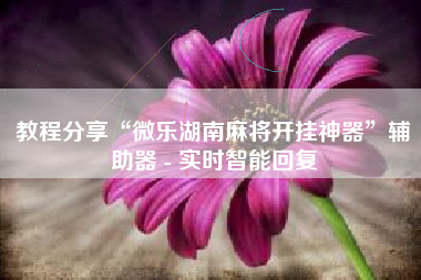 教程分享“微乐湖南麻将开挂神器”辅助器 - 实时智能回复