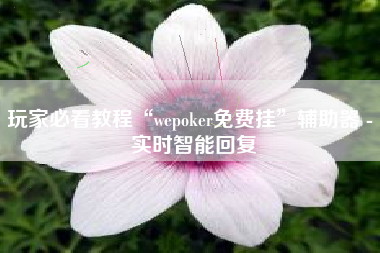 玩家必看教程“wepoker免费挂	”辅助器 - 实时智能回复