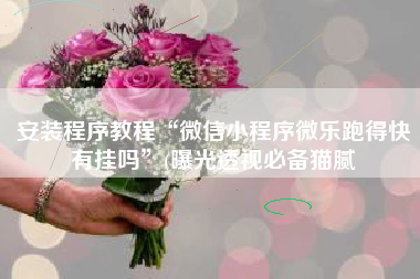 安装程序教程“微信小程序微乐跑得快有挂吗	”(曝光透视必备猫腻