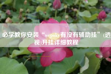 必学教你安装“wepoke有没有辅助挂	”(透视)开挂详细教程