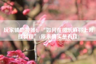 玩家辅助神器：“如何在微乐麻将上开挂教程	”(原来确实是有挂)