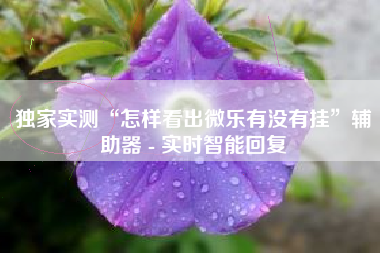 独家实测“怎样看出微乐有没有挂”辅助器 - 实时智能回复