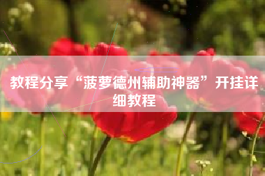 教程分享“菠萝德州辅助神器	”开挂详细教程