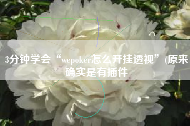 3分钟学会“wepoker怎么开挂透视	”(原来确实是有插件