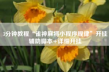 3分钟教程“雀神麻将小程序规律”开挂辅助脚本+详细开挂