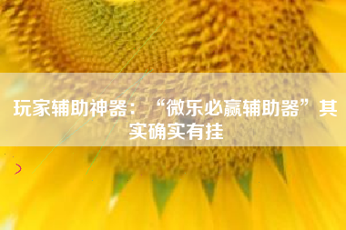 玩家辅助神器：“微乐必赢辅助器	”其实确实有挂