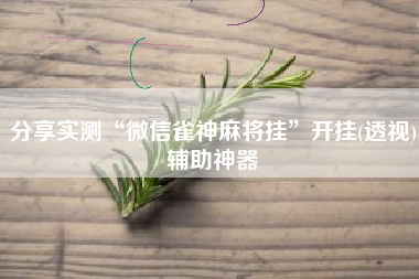 分享实测“微信雀神麻将挂	”开挂(透视)辅助神器