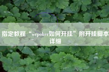 指定教程“wepoker如何开挂”附开挂脚本详细
