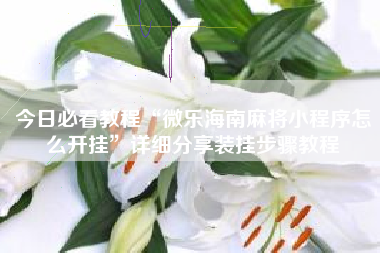 今日必看教程“微乐海南麻将小程序怎么开挂”详细分享装挂步骤教程