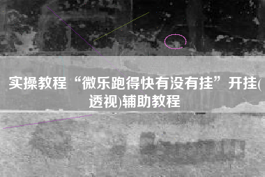 实操教程“微乐跑得快有没有挂	”开挂(透视)辅助教程