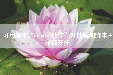 可用版本“wepoker挂件”开挂辅助脚本+详细开挂