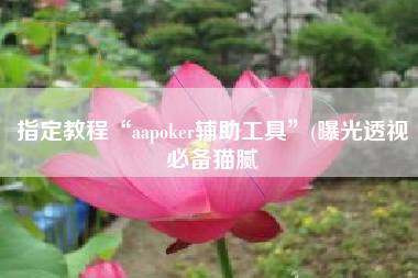 指定教程“aapoker辅助工具	”(曝光透视必备猫腻