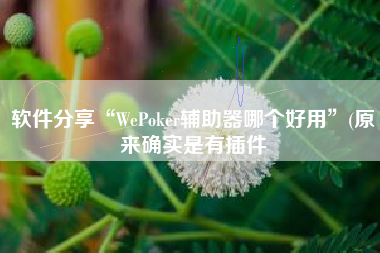 软件分享“WePoker辅助器哪个好用”(原来确实是有插件