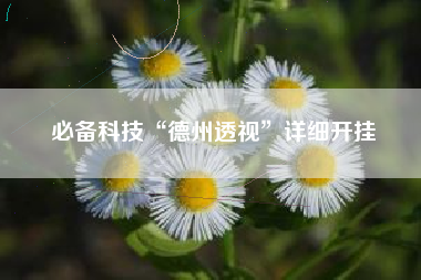 必备科技“德州透视”详细开挂