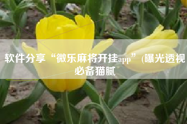 软件分享“微乐麻将开挂app”(曝光透视必备猫腻