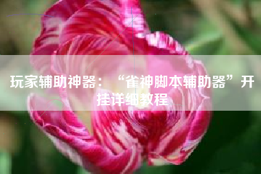 玩家辅助神器：“雀神脚本辅助器	”开挂详细教程