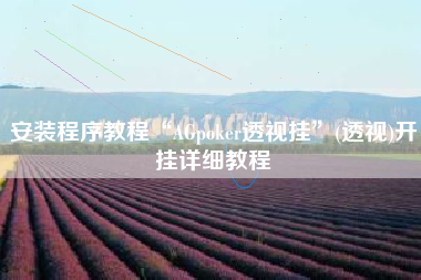 安装程序教程“AGpoker透视挂”(透视)开挂详细教程