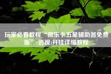玩家必看教程“微乐卡五星辅助器免费版”(透视)开挂详细教程