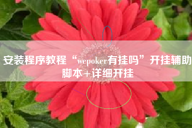 安装程序教程“wepoker有挂吗”开挂辅助脚本+详细开挂