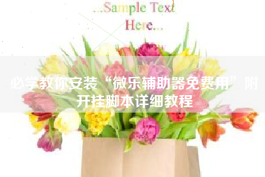 必学教你安装“微乐辅助器免费用”附开挂脚本详细教程