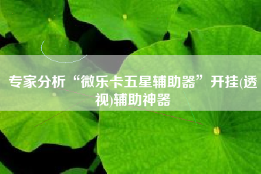 专家分析“微乐卡五星辅助器”开挂(透视)辅助神器