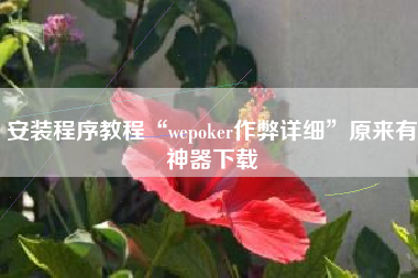 安装程序教程“wepoker作弊详细”原来有神器下载