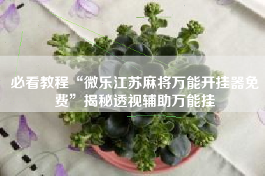 必看教程“微乐江苏麻将万能开挂器免费	”揭秘透视辅助万能挂