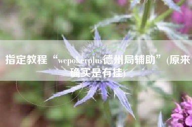 指定教程“wepokerplus德州局辅助”(原来确实是有挂)