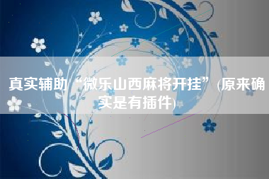 真实辅助“微乐山西麻将开挂”(原来确实是有插件)