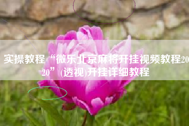 实操教程“微乐北京麻将开挂视频教程2020”(透视)开挂详细教程