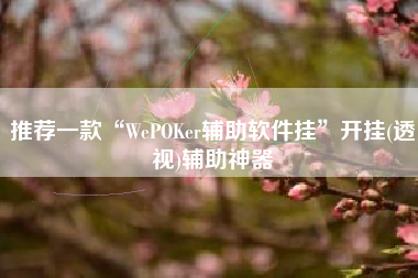 推荐一款“WePOKer辅助软件挂”开挂(透视)辅助神器