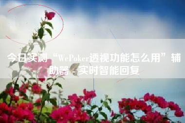 今日实测“WePoker透视功能怎么用”辅助器 - 实时智能回复