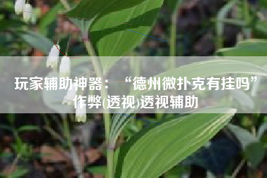 玩家辅助神器：“德州微扑克有挂吗”作弊(透视)透视辅助