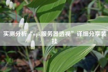 实测分析“wpk服务器透视”详细分享装挂