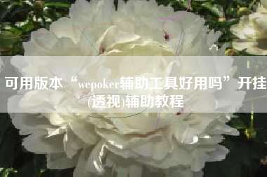 可用版本“wepoker辅助工具好用吗	”开挂(透视)辅助教程