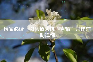 玩家必读“微乐填大坑一直输	”开挂辅助详细