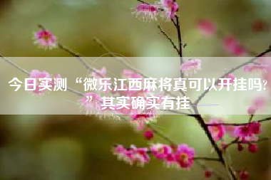 今日实测“微乐江西麻将真可以开挂吗?”其实确实有挂