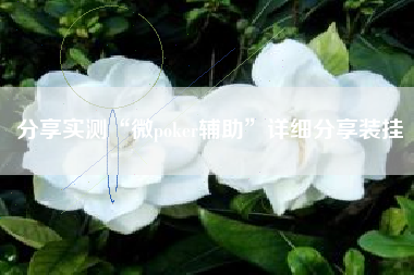 分享实测“微poker辅助”详细分享装挂