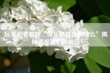 玩家必看教程“微乐跑得快有挂么	”揭秘透视辅助万能挂