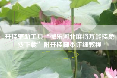 开挂辅助工具“微乐河北麻将万能挂免费下载”附开挂脚本详细教程