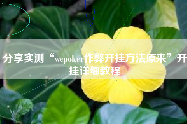 分享实测“wepoker作弊开挂方法原来”开挂详细教程
