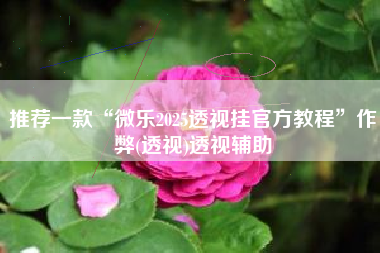 推荐一款“微乐2025透视挂官方教程	”作弊(透视)透视辅助