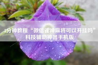 3分钟教程“微信雀神麻将可以开挂吗”科技辅助神器手机版