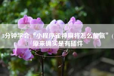 3分钟学会“小程序雀神麻将怎么能赢	”(原来确实是有插件