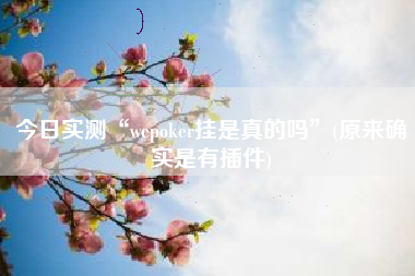 今日实测“wepoker挂是真的吗”(原来确实是有插件)