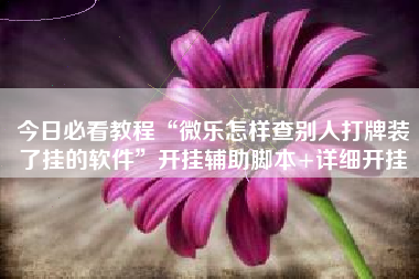 今日必看教程“微乐怎样查别人打牌装了挂的软件”开挂辅助脚本+详细开挂