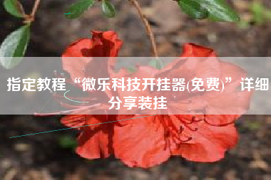指定教程“微乐科技开挂器(免费)	”详细分享装挂