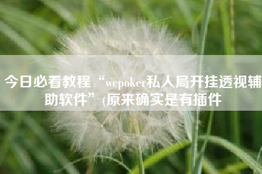 今日必看教程“wepoker私人局开挂透视辅助软件	”(原来确实是有插件